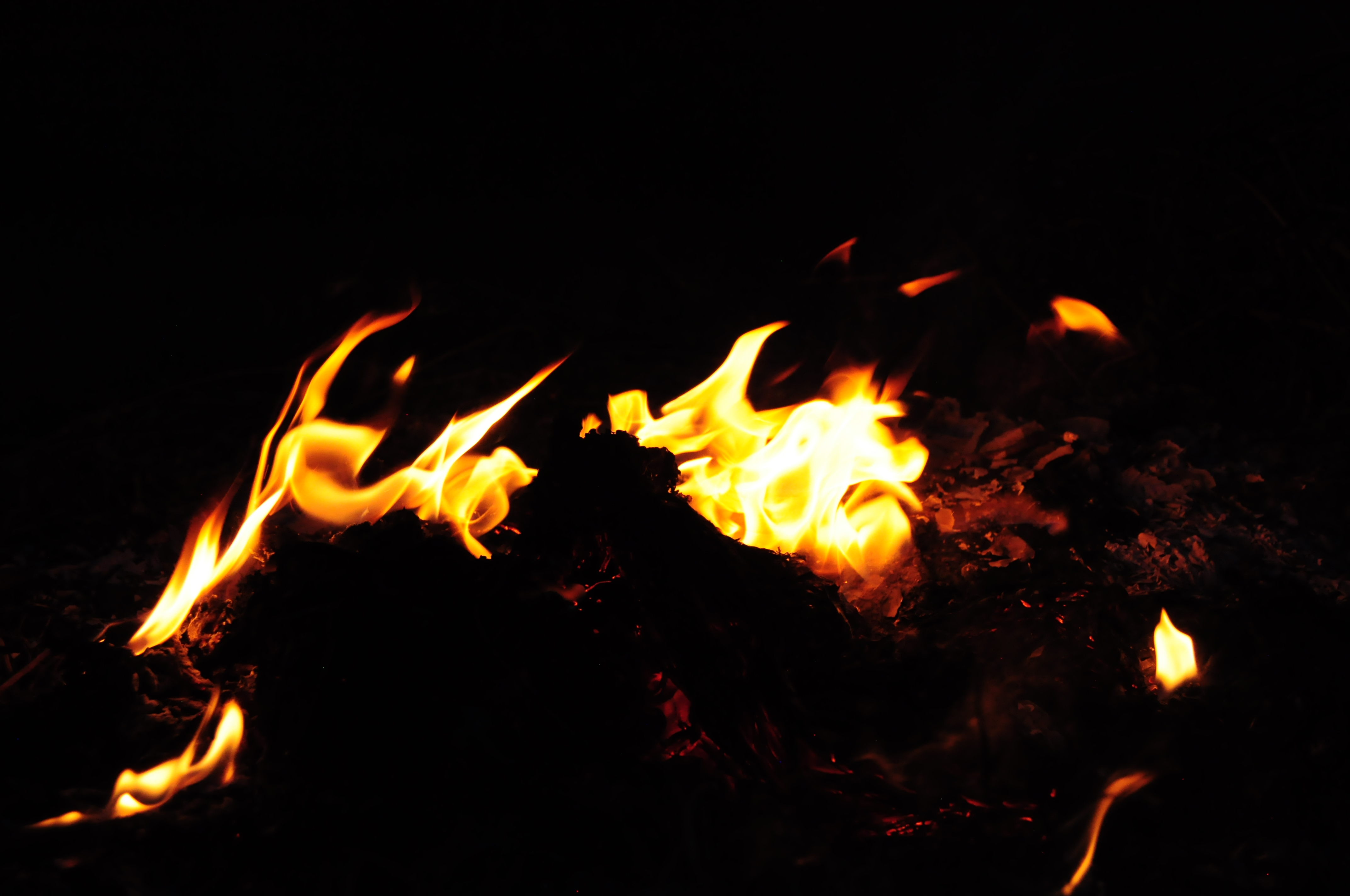 Fotografía Artística